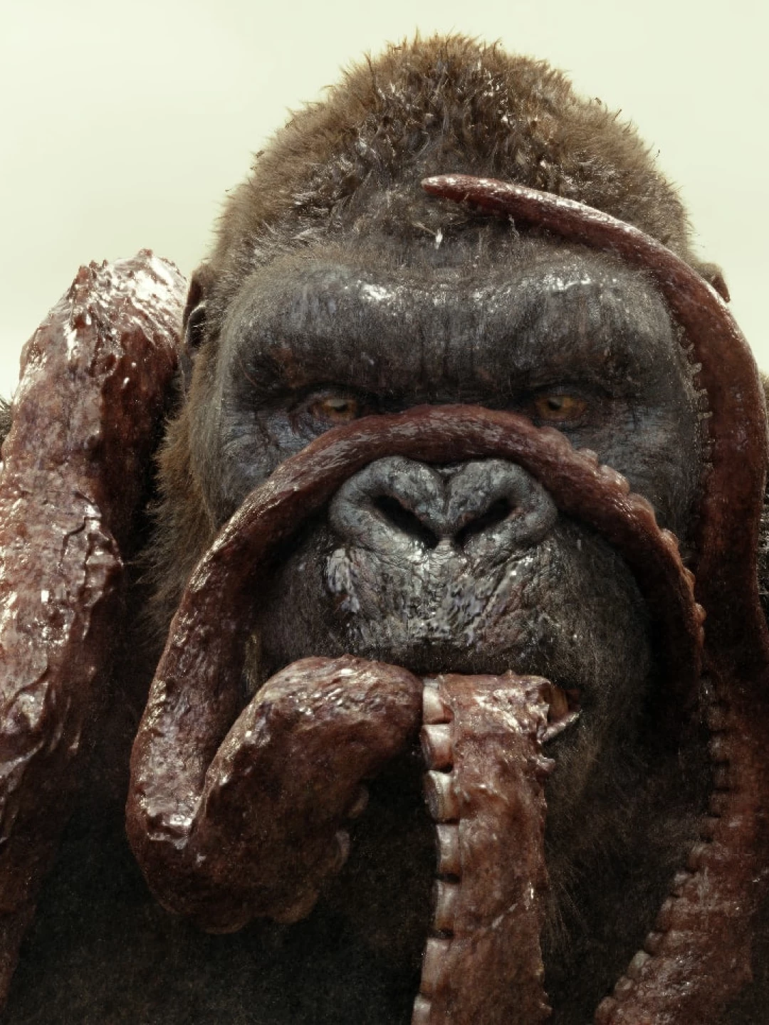Curiosidades King Kong: O Ícone dos Monstros no Cinema