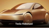 Tesla Robotaxi