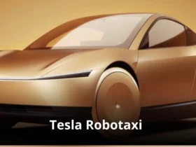 Tesla Robotaxi