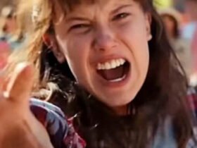 stranger things 5: a temporada final