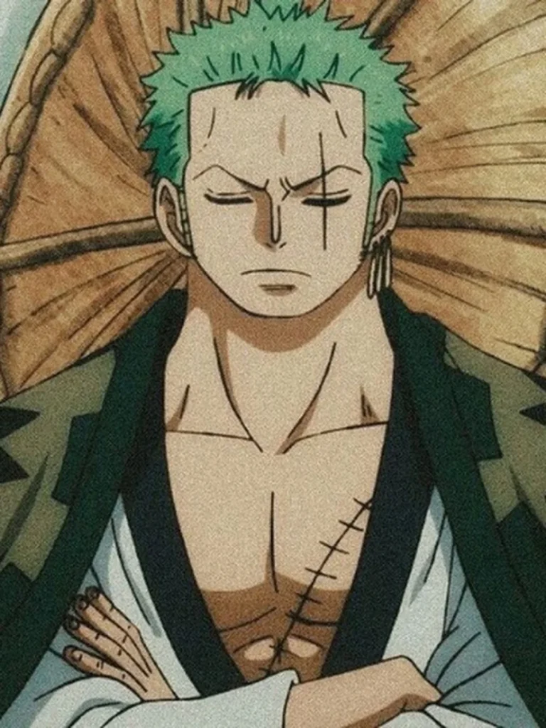 Webstories 5 zoro do one piece 2
