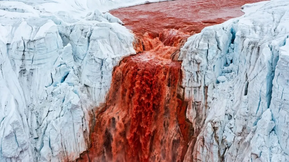 cientistas descobrem o que pode estar escondido nas misteriosas cataratas de sangue da antártida