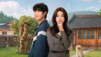 um grude de amor: k-drama com máfia e amnésia estreia na netflix